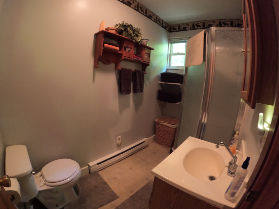 Eagle's Nest Cabin:Bathroom with shower